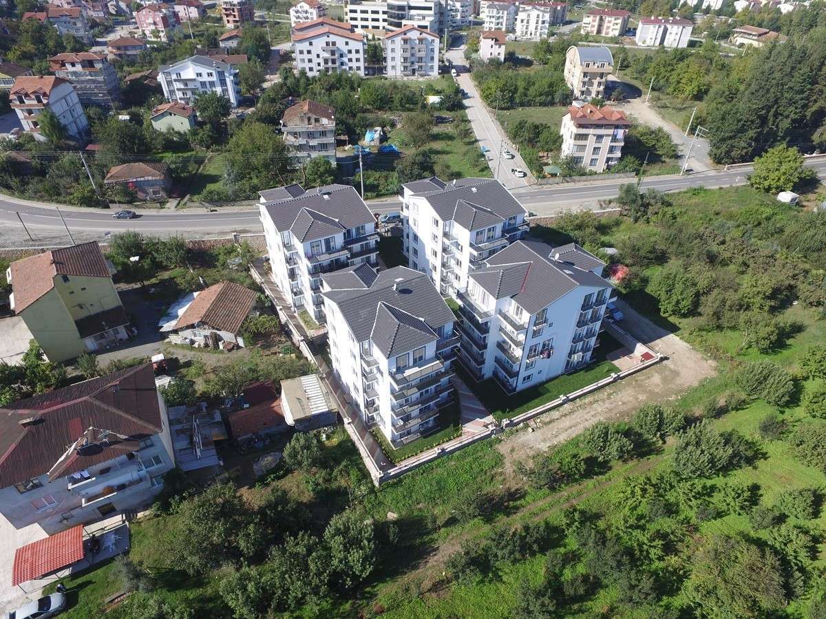 DCIM100MEDIADJI 0729.JPG